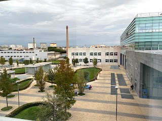 Università degli Studi di Napoli Federico II - Scuola Politecnica e delle Scienze di Base - Complesso Napoli Est