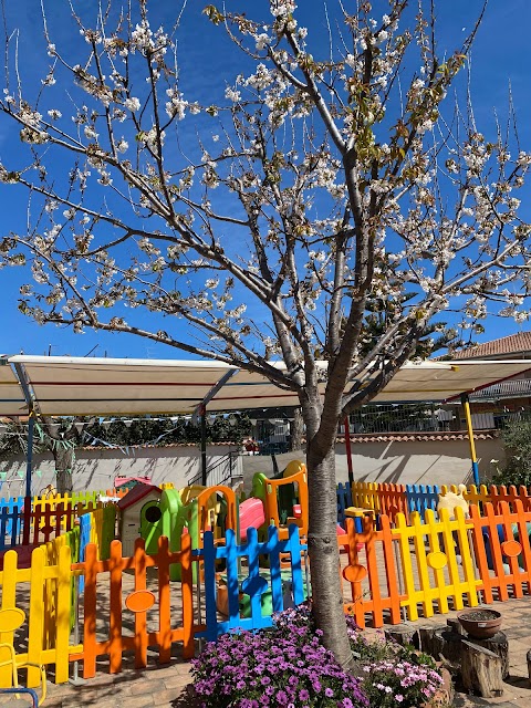 La Coccinella - Scuola Dell'Infanzia Paritaria