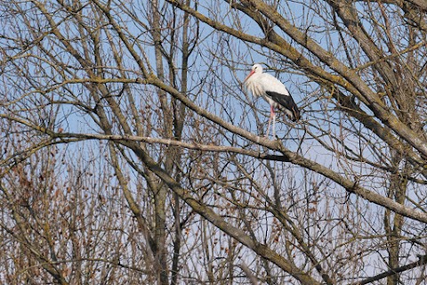 Parco Cascina Venara