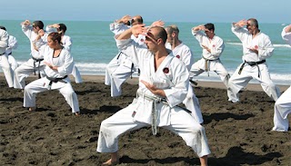 Okinawa Dojo Ryu Karate Do