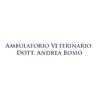 Andrea Bosio