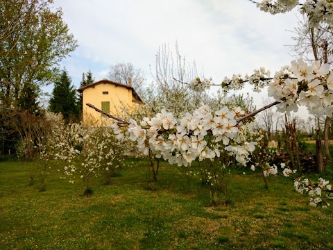 B&B La Stube del Riccio