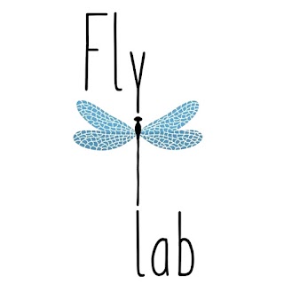 Fly Lab