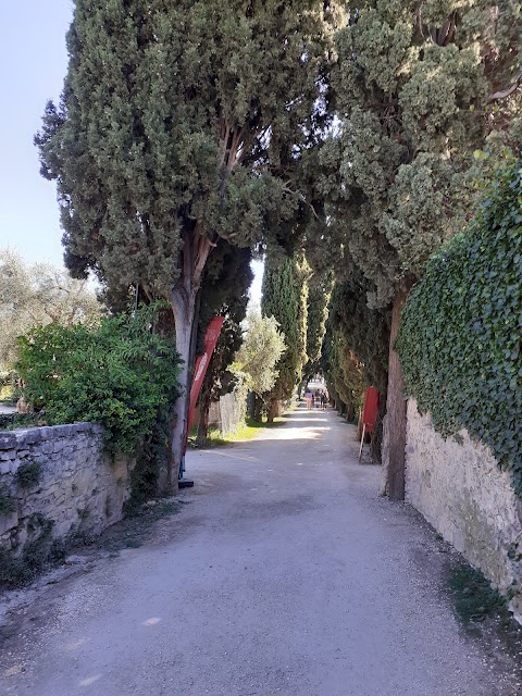 Terrazza Belvedere