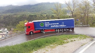 Cooperativa Autotrasportatori Arco