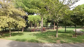 Parco Gioia