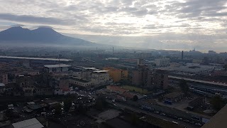 Università Degli Studi Di Napoli "Parthenope"