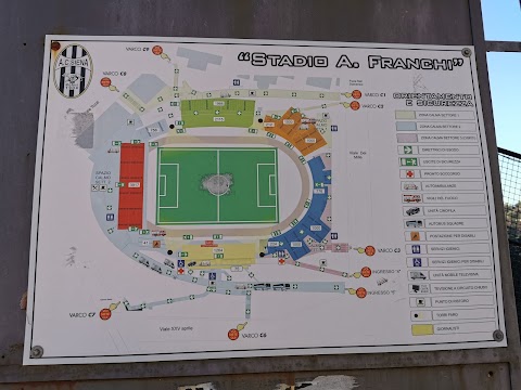 Stadio Artemio Franchi