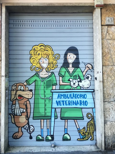 Ambulatorio Veterinario Le Accademie‎