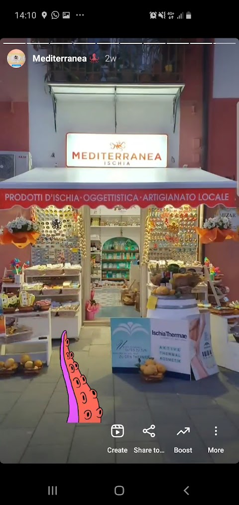 Mediterranea Ischia