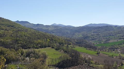 Ristorante La Colombina