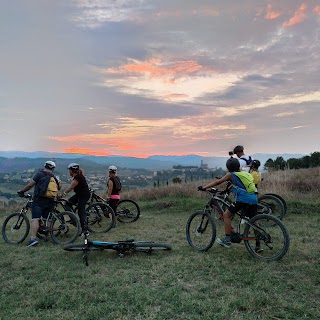 Casentino escursioni