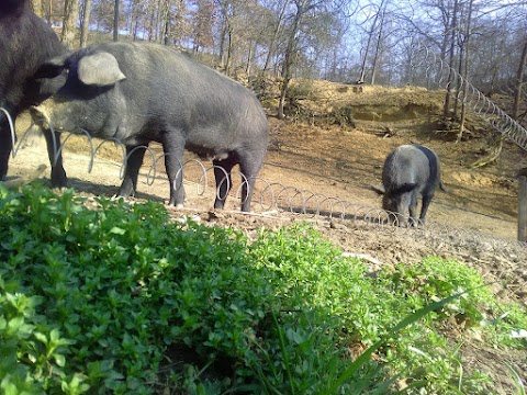 Azienda Agricola Ciabot