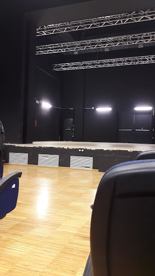 Auditorium "Massimo Freccia"