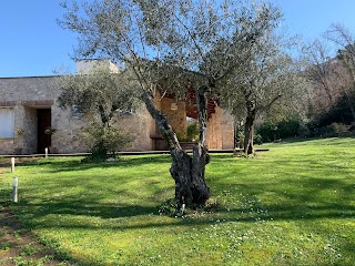 Torre Pani Ristorante di Montagna