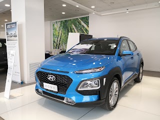 Hyundai Sinergy S.R.L.