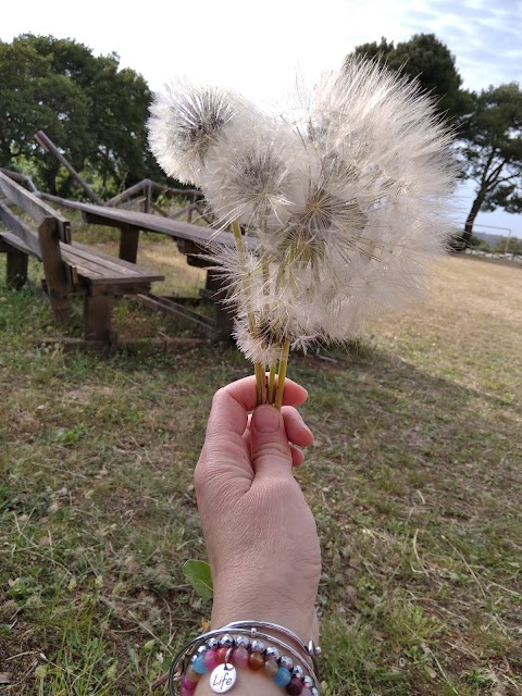 Area Pic-Nic - Carbottiello