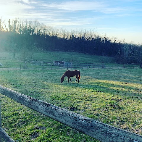 Tenuta di Cascina Diavolo Dei Boschi