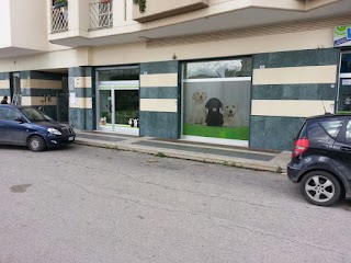 Centro Veterinario Città di Barletta