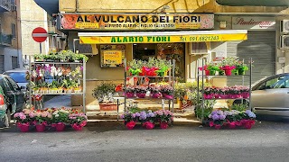 Vulcano Dei Fiori