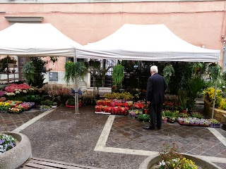 Franco e Mimma - Addobbi, piante, fiori e manutenzioni