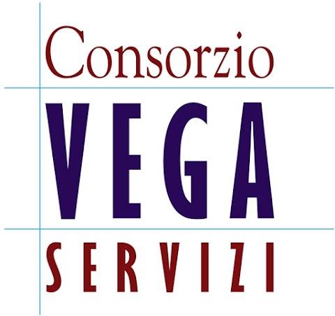 Consorzio Vega Servizi