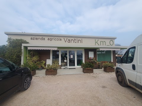 Azienda Agricola Vantini - KM_0