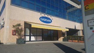 Gargani