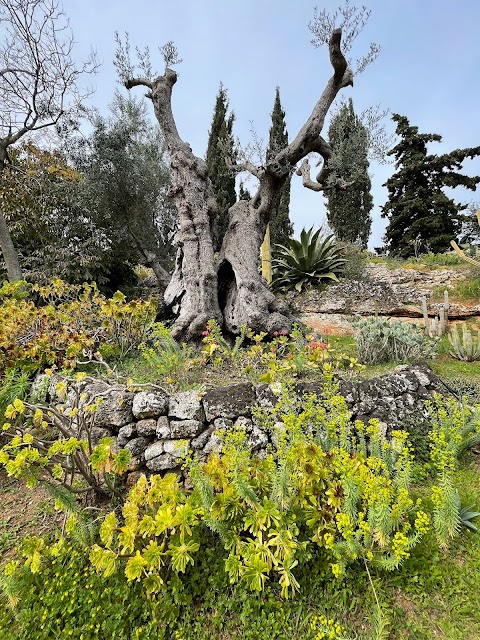 Giardino Botanico Lama Degli Ulivi