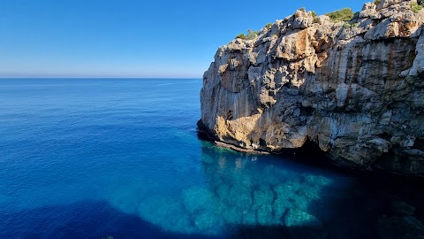 Centro cinotecnico di capo rama