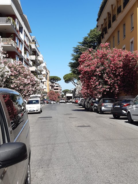 Amalfi Coast Private Driver