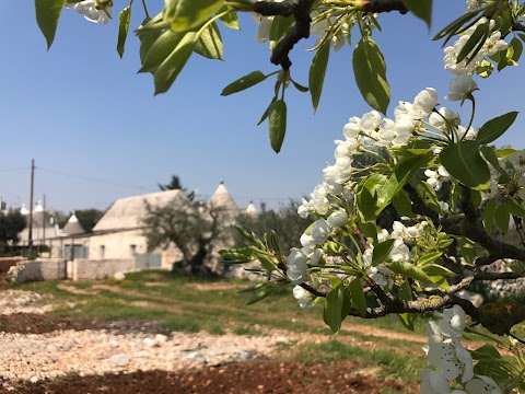 Trullo Marinella Suite Home casavacanze