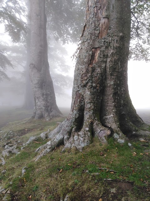 Cascina di Spedaletto