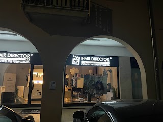HAIR DIRECTOR