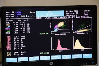 Analisi Cliniche Biodiagnostical Srl