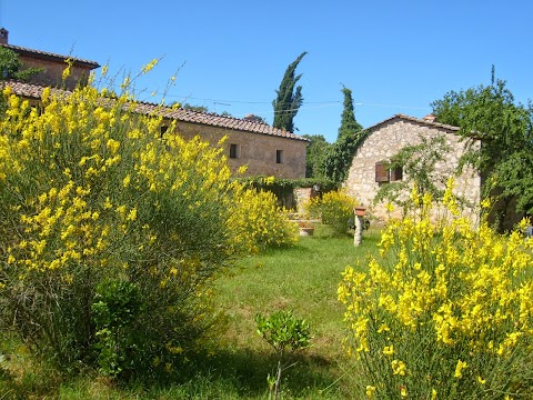 CASA VACANZE PODERE SORTOIANO