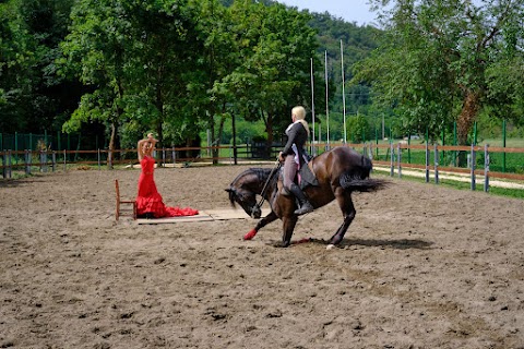 A.S.D. Viento Flamenco (Sede di Portogruaro)