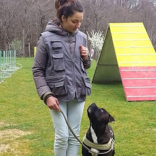 Un cane per amico