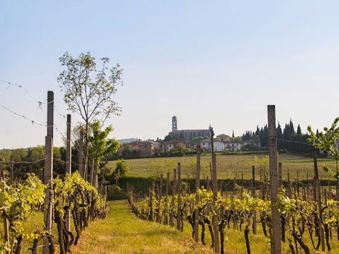 Agriturismo Ai Tre Fienili