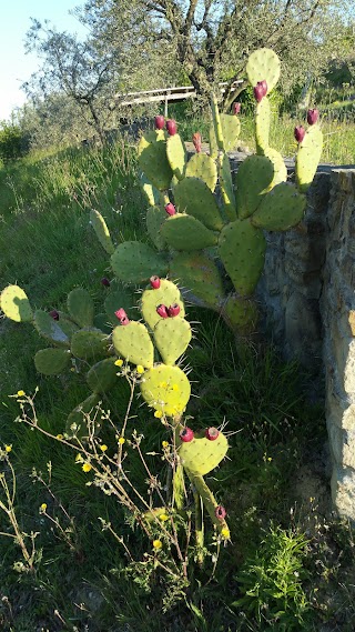 Agriturismo Case Nuove