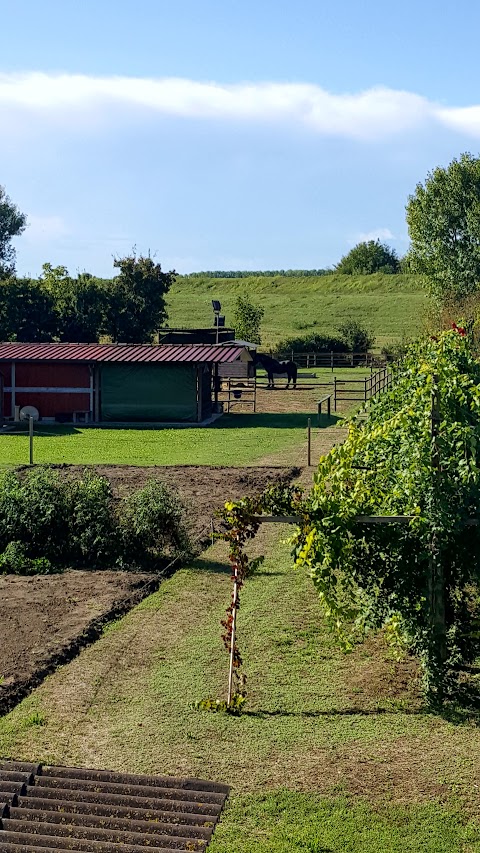 Bed & Breakfast A Casa Di Iris