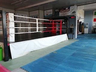MODUS VIVENDI Boxing Club