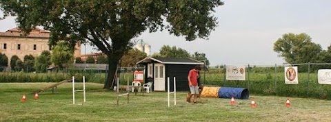 Passion for Dogs - Centro Cinofilo