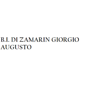 B.I. di Zamarin Giorgio Augusto