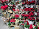 Foto di Petit Fleur di Pirani Alessandra - Via IV Novembre 1, Mirabello (FE), Italia
