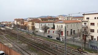 Istituto di BioRobotica - Scuola Superiore Sant'Anna