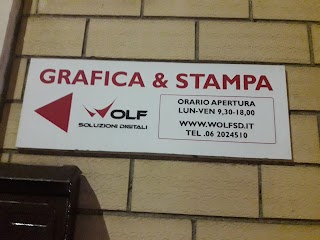 Stampa grandi formati veloce Roma - Wolf grafica e stampa