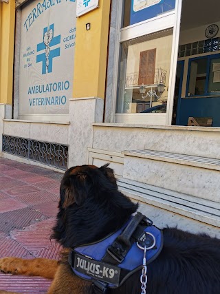 Ambulatorio Veterinario Di Salvatore Giordano E Rita Mannino Snc