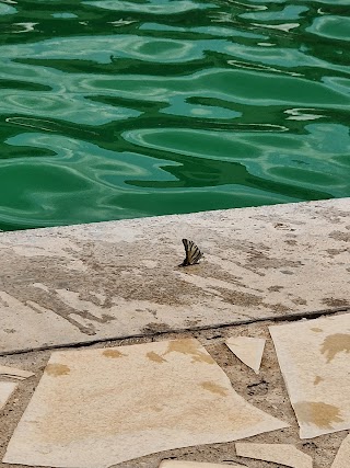 Piscina Condominiale Montelarco