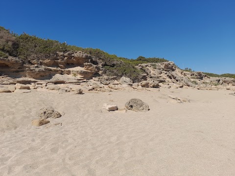 Dune di Campomarino